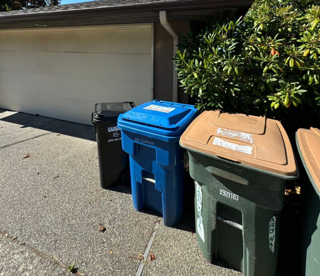 Why Cleaning Your Trash Bins Should Be Part of Your Home Maintenance Routine