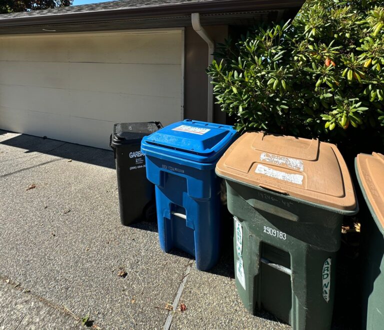 Why Cleaning Your Trash Bins Should Be Part of Your Home Maintenance Routine
